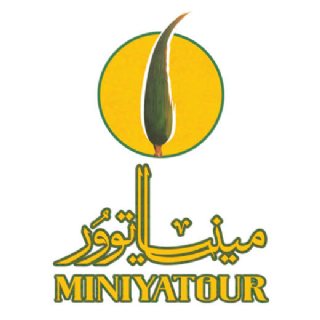 Travel to Iran by Miniyatour Travel Agency (Yazd)