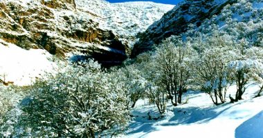 More information about Boraq Gorge