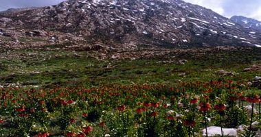 More information about Dena (Dinar) Mountain