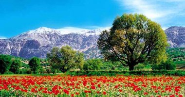 More information about Ganjehie Gorge