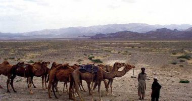 More information about Sistan Plain in Zabol