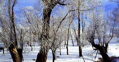 More information about Forests and Plains of Zanjan