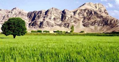 More information about Koohdasht Plain in Koohdasht (Kuhdasht)