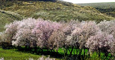 More information about Kashaf Rood Valley in Mashhad