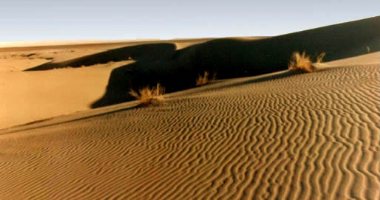 More information about Forests and Deserts in Semnan