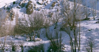 More information about Ushan, Fasham Valleys in Shemiranat