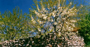 More information about Baram Delak Recreation Site in Shiraz