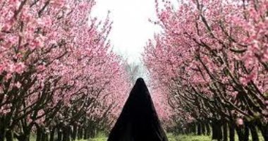 More information about Ab Ali Spring in Tehran