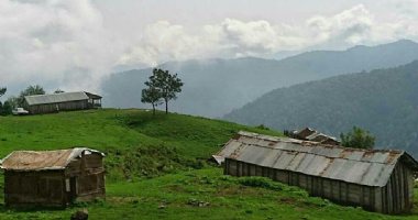 More information about Talesh Forests