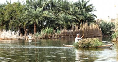 More information about Shadegan Wetland