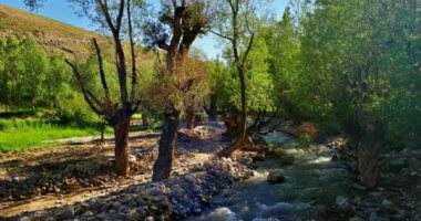 More information about Liqvan Chay River