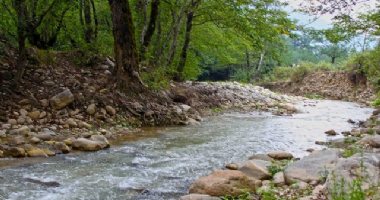 More information about Dahaneh River in Gonbad Kavoos