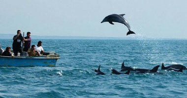 More information about Qeshm natural attractions in Qeshm Island