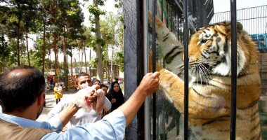 More information about Tehran Zoological Garden in Tehran