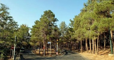 More information about Lavizan Forest Park in Tehran