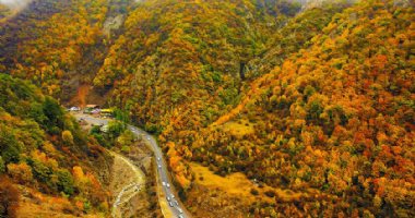 More information about Chalus Forests in Chaloos (Chalus)