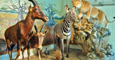 More information about Iran Wildlife and Nature Museum - Dar Abad