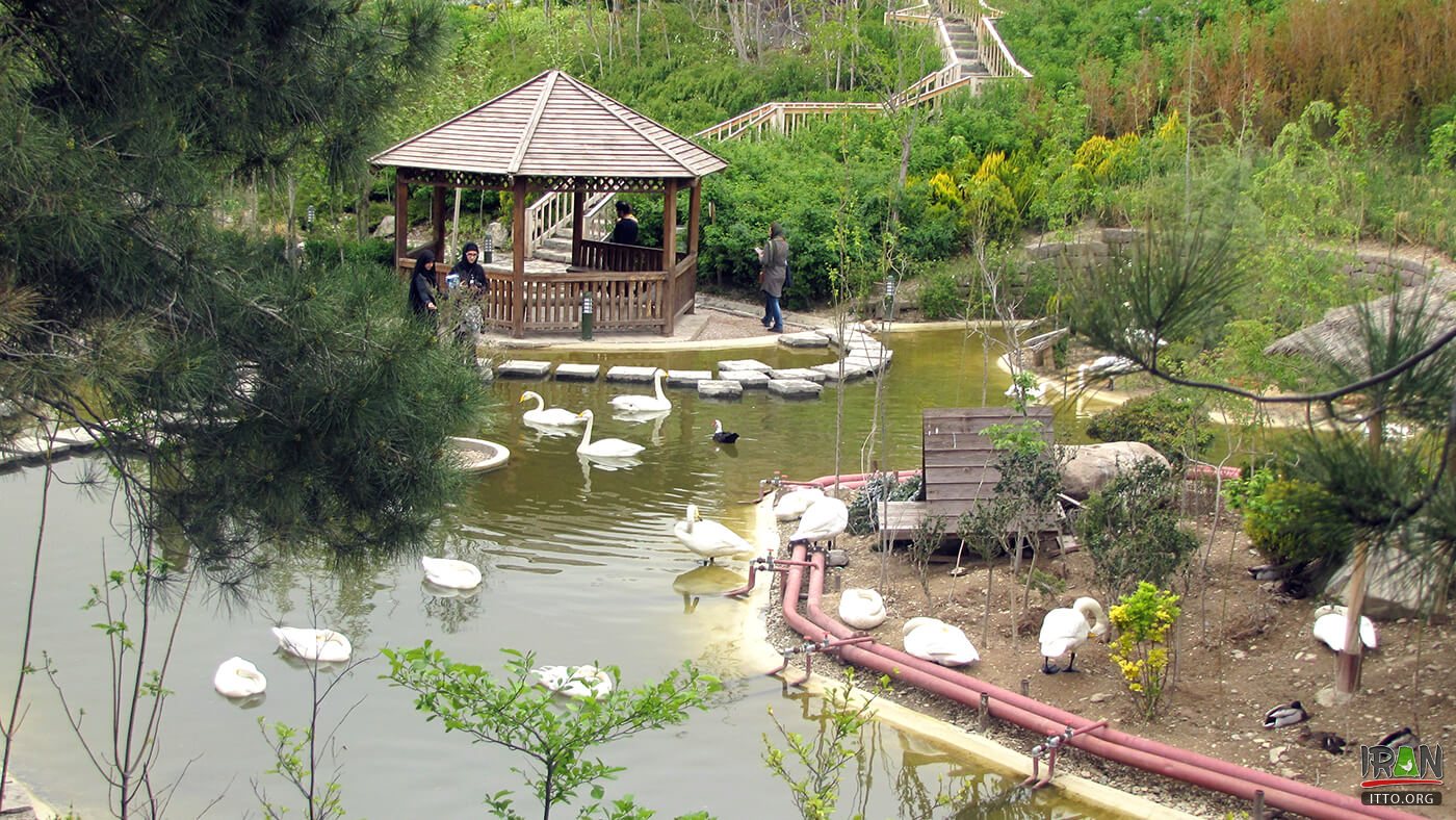 Iran Wildlife and Nature Museum - Dar Abad - Tehran