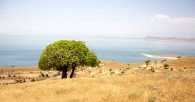 More information about Kaboodan Island (Qoyundagi) in Urmia