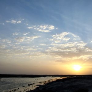 Gavkhoony Wetlands