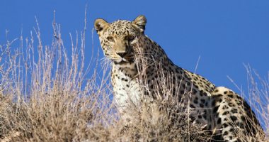 More information about Golestan National Park