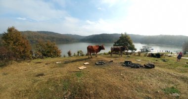 More information about Saqalaksar Lake in Rasht