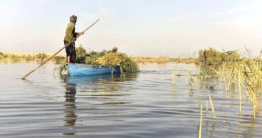 More information about Hamoon Lake in Zabol