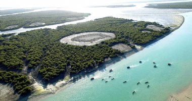 More information about Hara Forest Protected Area in Qeshm Island