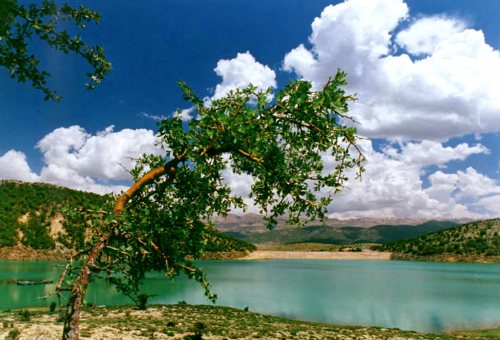 Hunting Regions in Boyer Ahmad (Yasooj)