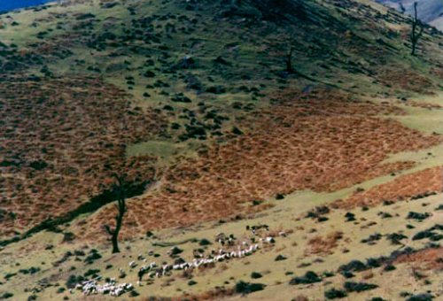 Doto Mountain in Eazeh (Izeh)