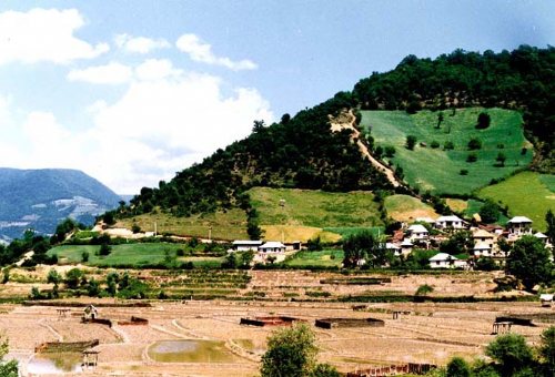 Tonekabon and Ramsar Forests in Ramsar