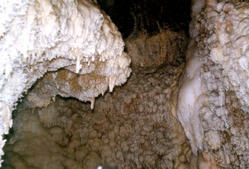 Chal Nakhjir Cave in Delijan