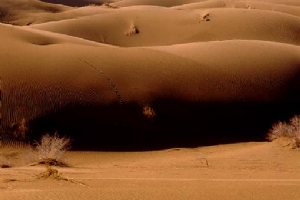Loot Plain (Lut Desert)