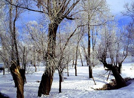 Zanjan Nature