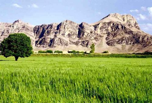 Koohdasht Plain in Koohdasht