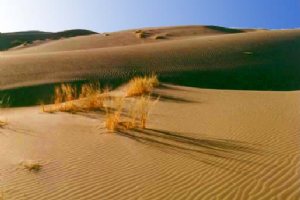 Kavir National Park and Wildlife