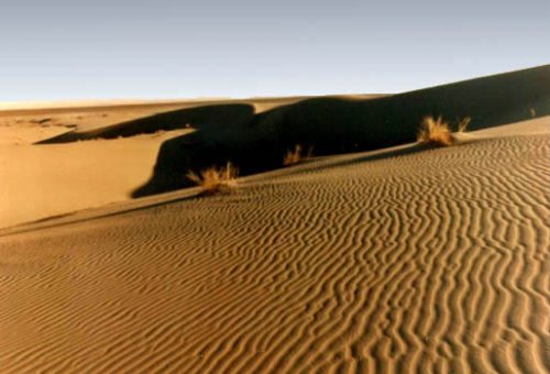 Forests and Deserts in Semnan