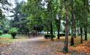 Rasht (Thumbnail)