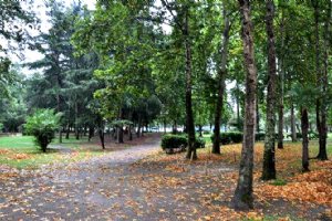 Rasht