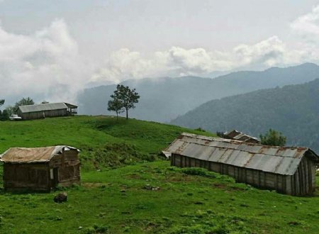 Talesh