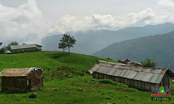 Talesh
