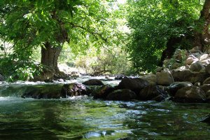 Aleshtar - Lorestan Province