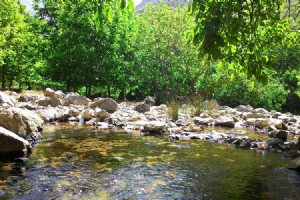 Aleshtar - Lorestan Province