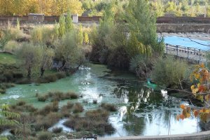 Aleshtar - Lorestan Province