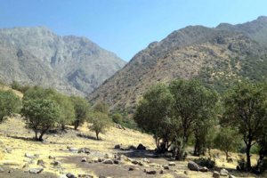 Aleshtar - Lorestan Province