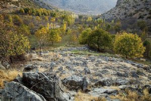 Aleshtar - Lorestan Province