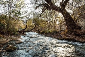 Aleshtar - Lorestan Province