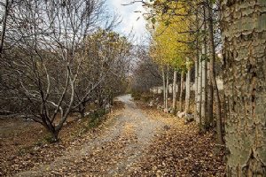Aleshtar - Lorestan Province