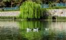 Baaghrud Park - Nishapur (Thumbnail)
