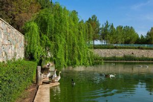 Baaghrud Park - Nishapur